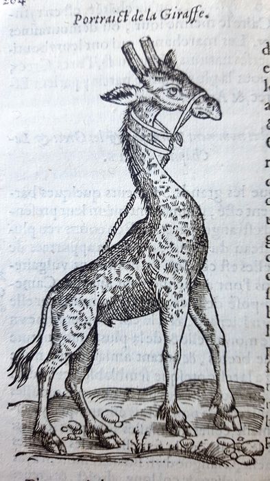 cd6f6b0e-1763-11e6-88d4-7da19ea389db