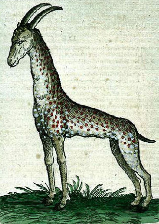 web_BML_02ENL01001Rs313566774117 - copie 2